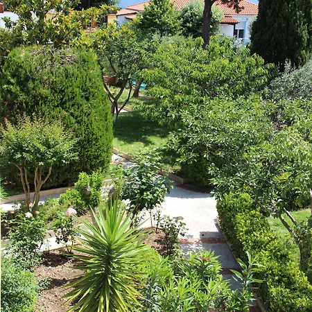 شقة فندقية Elia